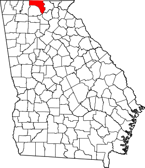 Fannin County, Georgia Fannin County, Georgia