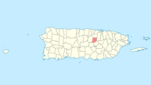Naranjito County, Puerto Rico