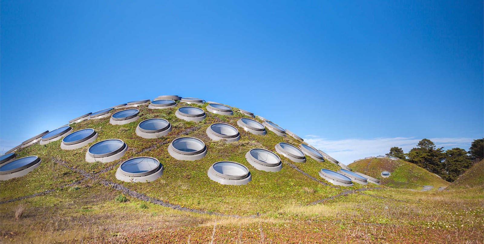 Academy of Sciences Living Roof