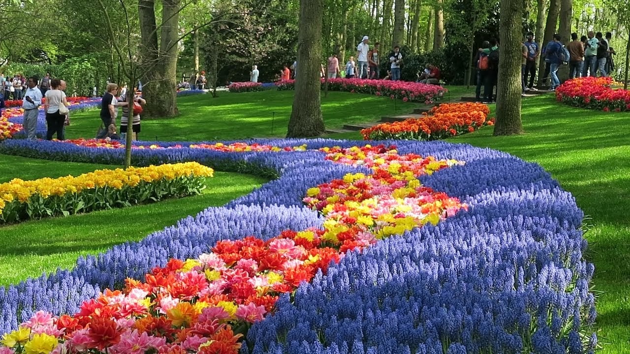 Keukenhof
