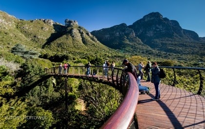 Kirstenbosch National Botanical Garden