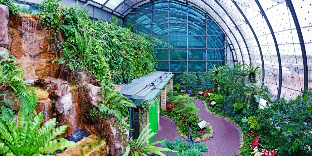 Butterfly Garden at the Changi Airport